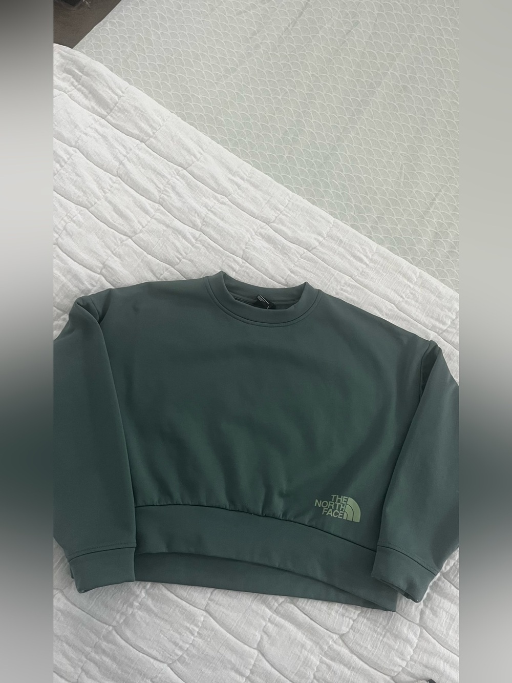 The North Face Women’s Crewneck Sweater in Forest Green